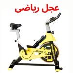 عجل رياضى