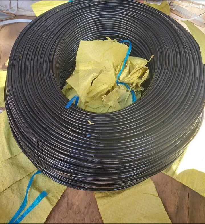 FB_IMG_1736421974790