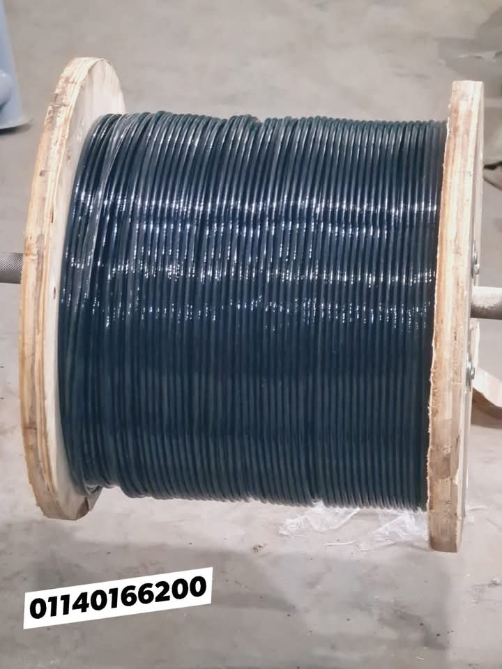 FB_IMG_1739964620418 - Copy