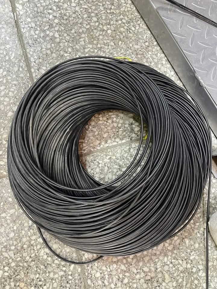 FB_IMG_1742199380492